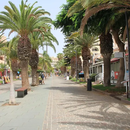 Cristianos - Two Bedrooms - Flayla-c * Los Cristianos (Tenerife)