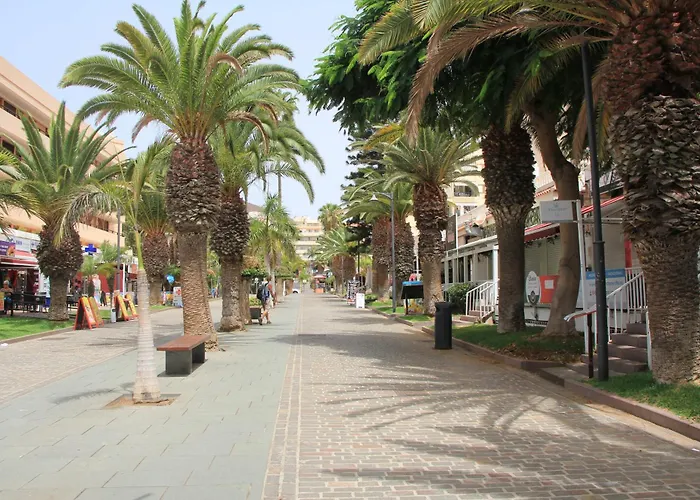 Cristianos - 2 Bedrooms - Flayla-c * Los Cristianos (Tenerife)